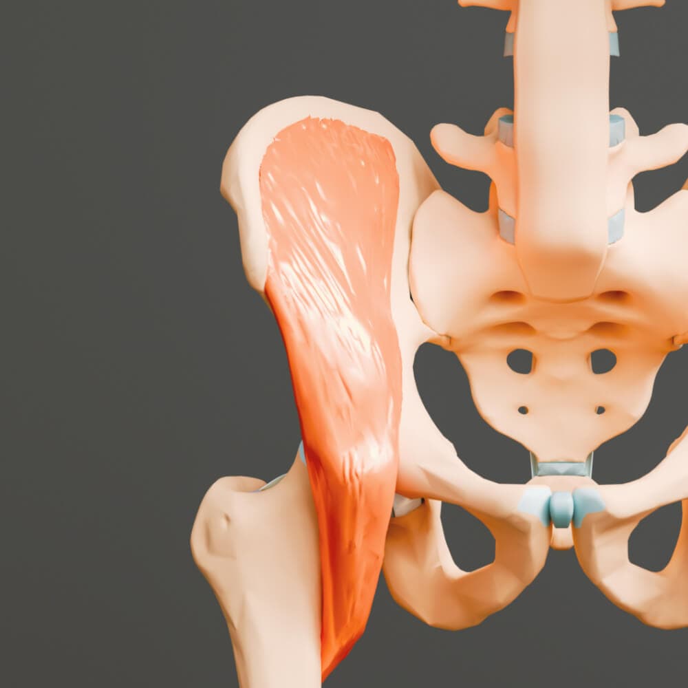 Hip Pain