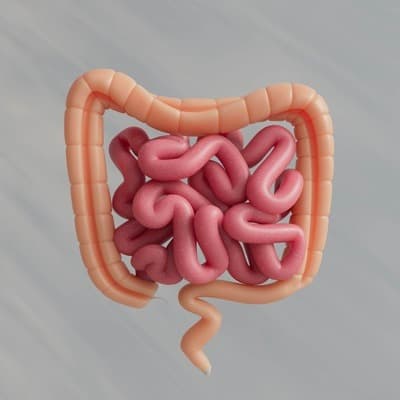 Gut Health